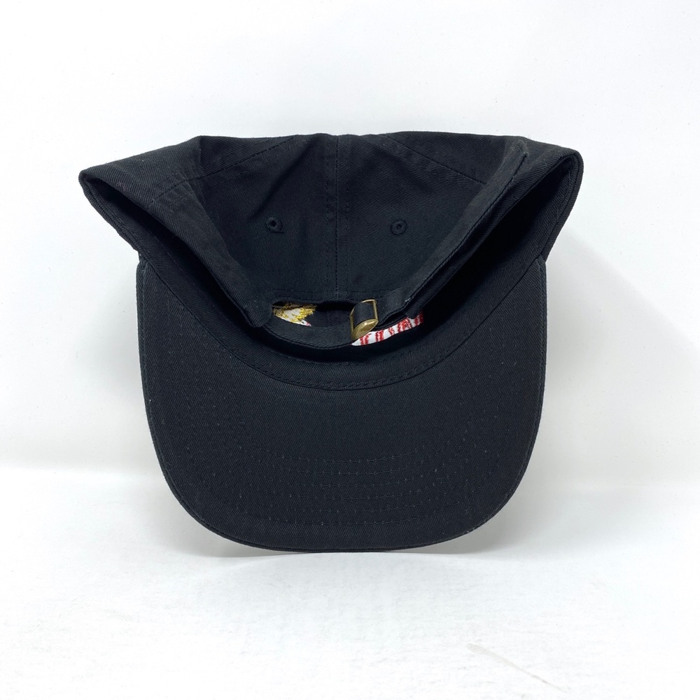 Winston Eagle Slouch Dad Hat Cap Strapback - Picture 6 of 6